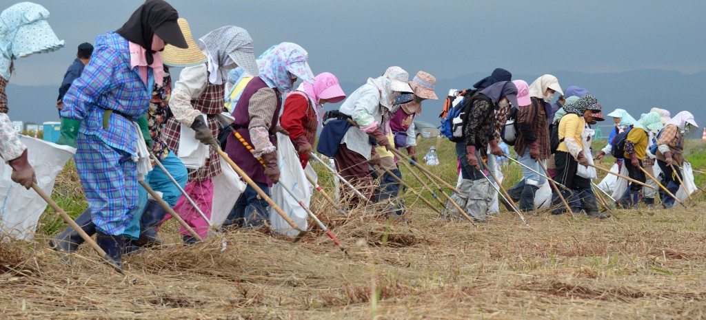 Women farmers work side by side to clean up tusnami debris in a farmland in Minamisoma, Fukushima Prefecture. 