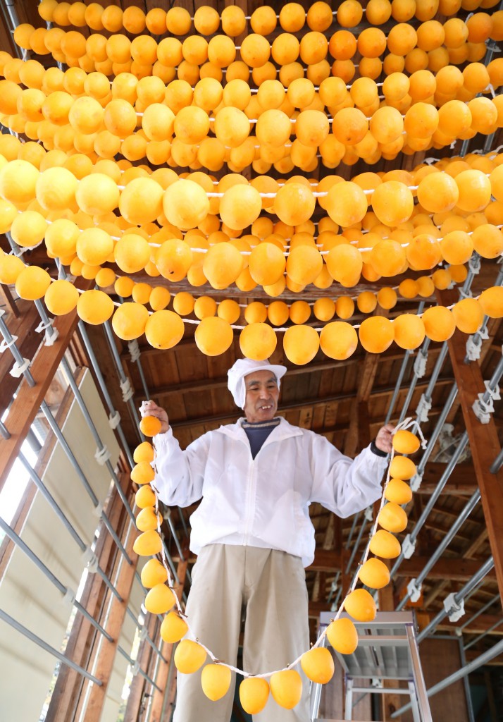 A farmer in Date, Fukushima Prefecture, hangs rows of peeled persimmons in a drying room to make “anpokaki,” or dried persimmons.