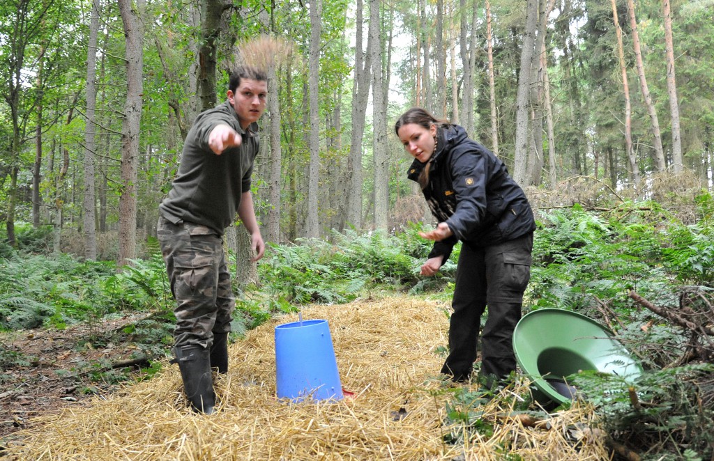 Students of Elmwood College’s gamekeeping course manage the feeding place for pheasants as part of their fieldwork.