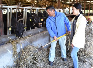 Kazutaka Tominaga and his wife Fumiko take care of their cows in Kumamoto.