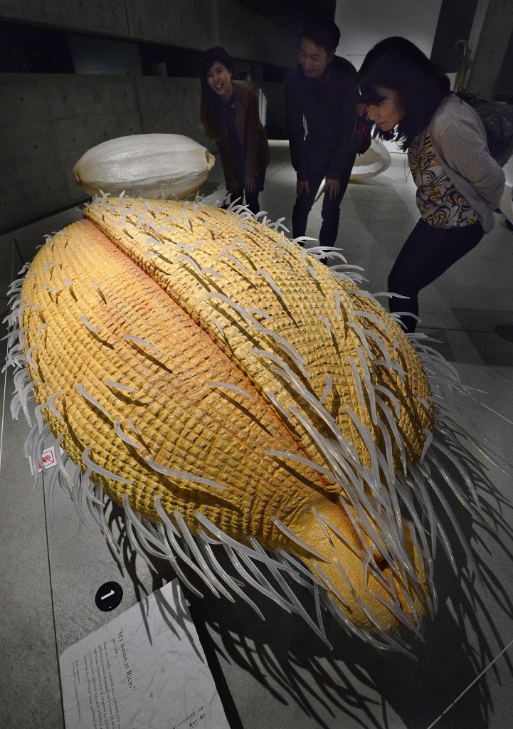 “My name is Rice” installation is a display of three giant models of unhulled, unmilled and polished Nipponbare rice magnified 360 times, which strongly appeals to visitors that rice is a grain.