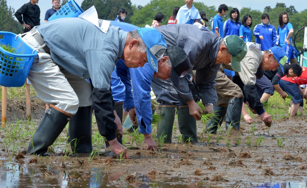 General class competitors planting rice paddies in line in the initial phase of the competition.