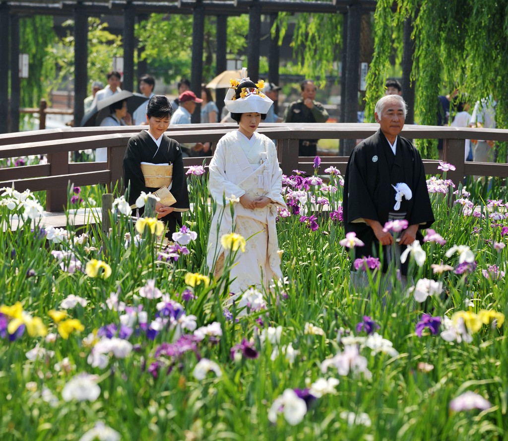 Bride walking along pathway in colorful iris garden to bridal boat. Bridal boat wedding ceremonies are performed also during the day.