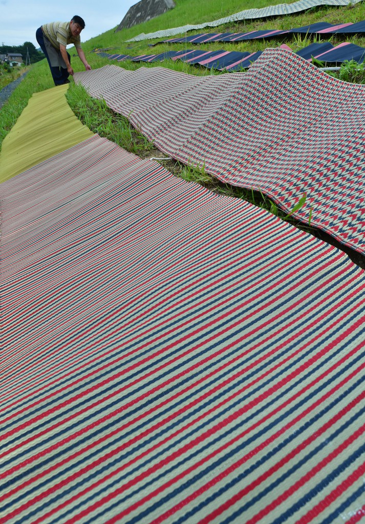 Hanagoza matting laid on the bank. They are cut to certain lengths to make several products after this drying process. (in Kurashiki-shi, Okayama Prefecture) 