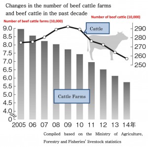 肉用牛の飼養頭数