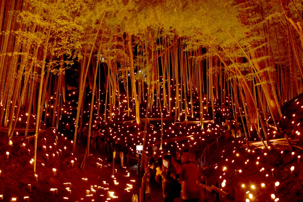 Bamboos lit by thousands of candles enthralled visitors with their quiet beauty. (in Yokohama-shi, Kanagawa Prefecture)