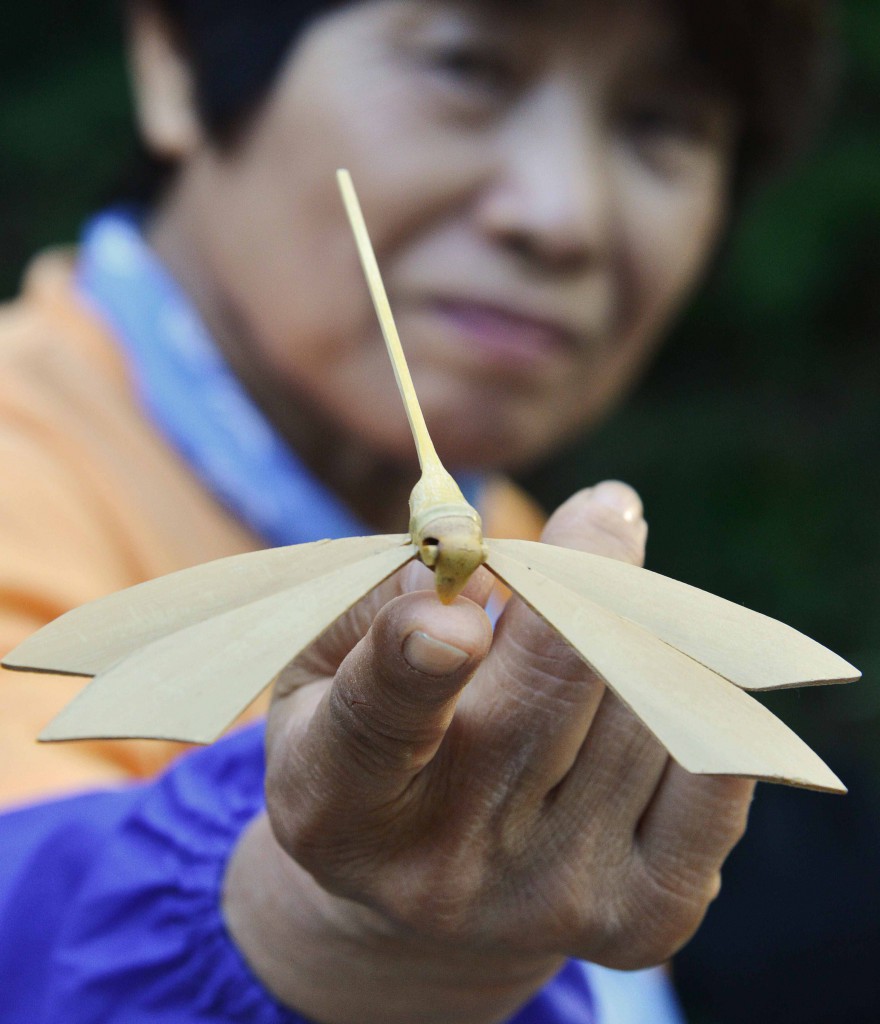 isplay of bamboo dragonflies was another attraction to demonstrate beauty of bamboo.