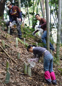 Volunteers preparing bamboo lanterns on steep slope.