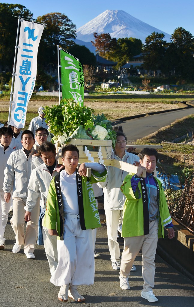 Members of youth groups of JA Mishima Kannami and Mishima Chamber of Commerce and Industry carrying mikoshi portable shrine with vegetables along walkways between fields to Mishima Taisha Shrine (in Mishima-shi, Shizuoka Prefecture)