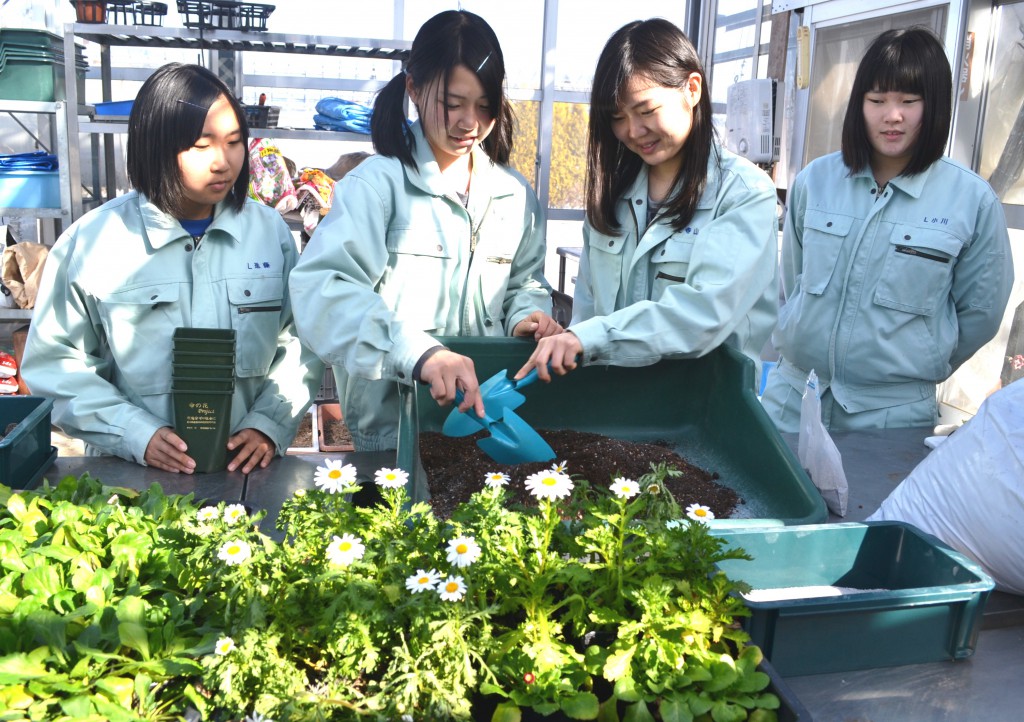 Students at Aomori Prefectural Sambongi Agriculture High School in Towada, Aomori Prefecture, mix powdered animal bones with soil to grow flowers.