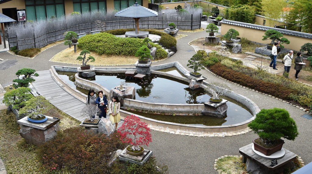Visitors can thoroughly enjoy many bonsai works out in the garden