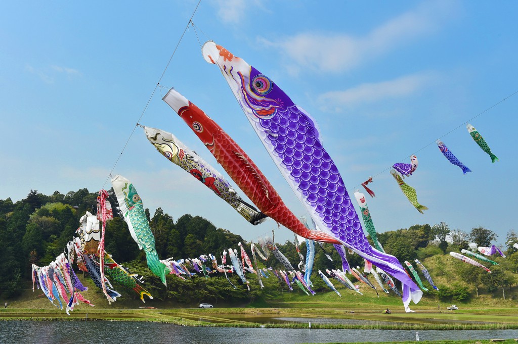 Koinobori streamers flying over rice paddies and pond in rice planting season (in Katori-shi, Chiba Prefecture)