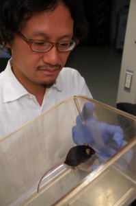 Kansai Medical University researcher Ko Kobayakawa experiments a smell of fear with a mouse in Hirakata, Osaka Prefecture
