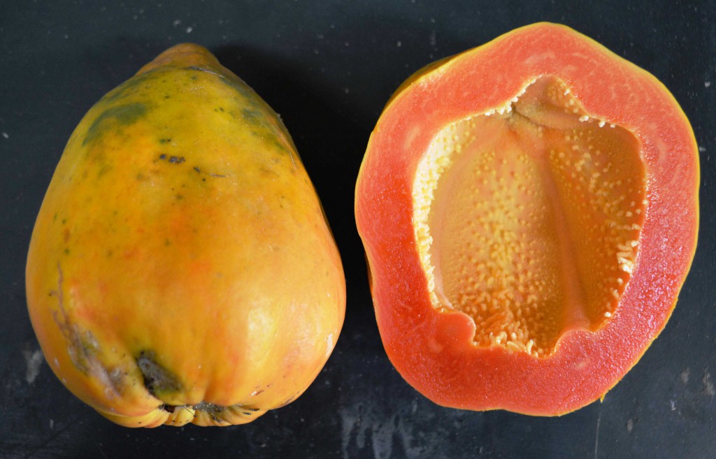 Ishigaki Sango papaya is seedless and has a hollow core