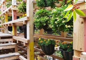 People can walk through the wooden frames using aisles that connect all four buildings.