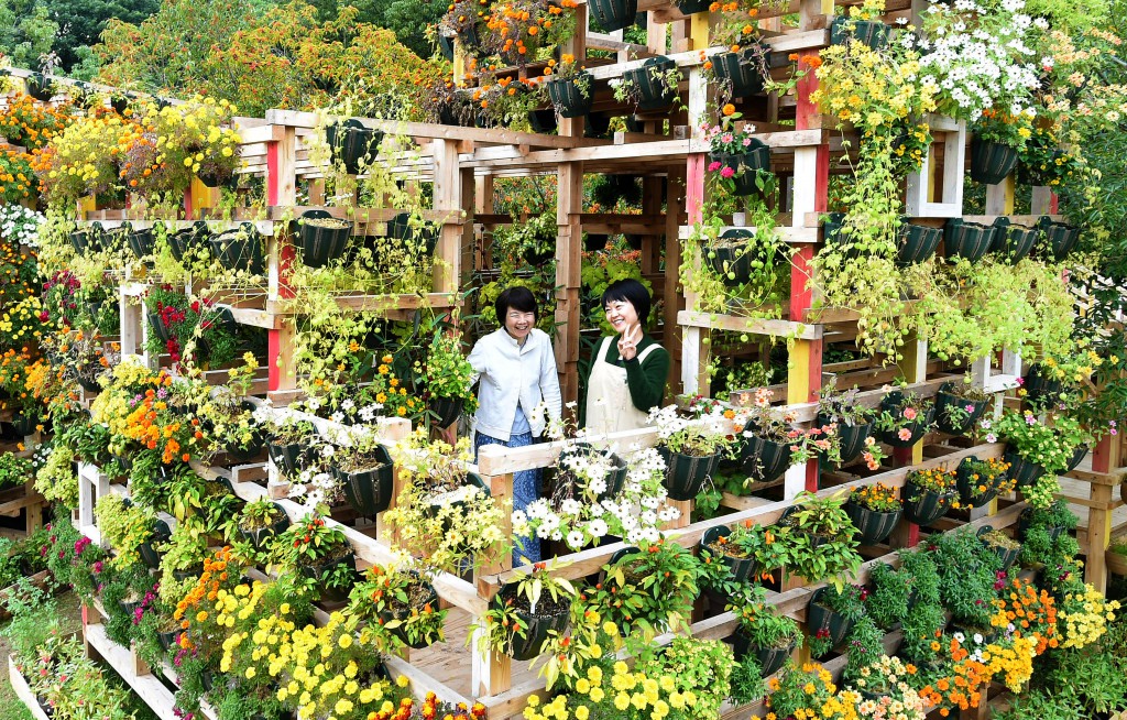 People can enjoy colors and scents being closely surrounded by flowers in “home of color.” (in Gifu Prefecture)