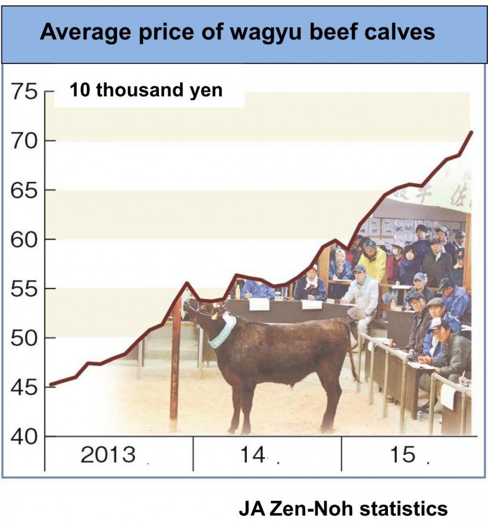和子牛　初の７０万円台
