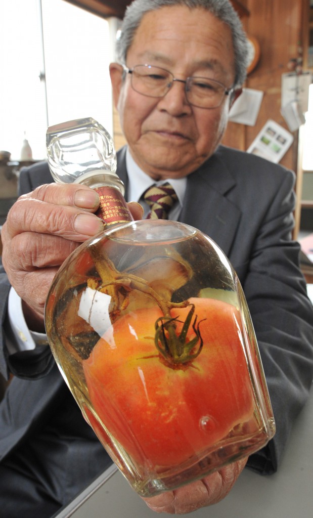 Big red plump tomato in a bottle (in Omihachiman-shi, Shiga Prefecture)